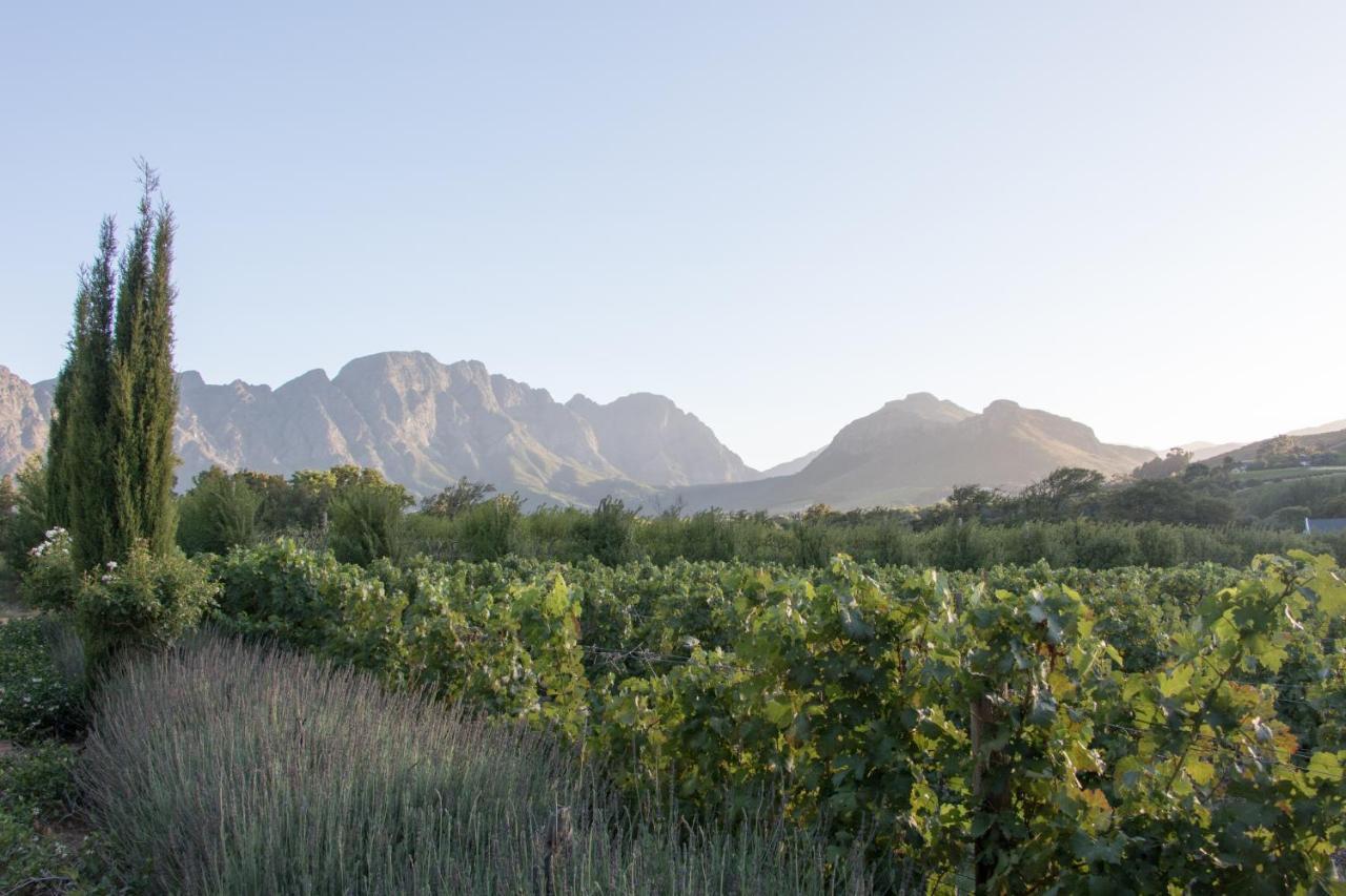 La Cle Lodge Franschhoek Εξωτερικό φωτογραφία